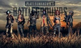 抖音吃鸡智勇爆料视频,吃鸡智勇爆料，带你领略游戏背后的精彩故事