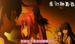 动漫伦理片在线观看,深度解析伦理片在线观看之旅