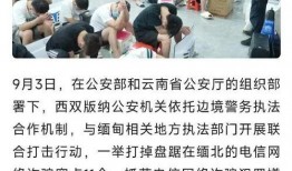 缅北最新爆料新闻报道视频,视频揭露惊人内幕
