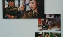 南岳龙蛇在线观看,揭秘神秘山岳的传奇故事