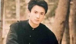 娱乐圈柚子君爆料杨洋,娱乐圈柚子君独家爆料引热议