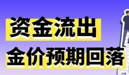 黄金爆料新闻报道视频,独家视频揭秘事件内幕