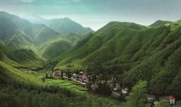 好看网在线观看,海量精彩内容，一键在线观看盛宴