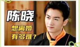 助理爆料陈晓是谁啊视频,陈晓身份揭秘，背后故事引热议