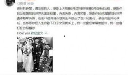 娱乐最新吃瓜事件视频播放,视频播放量爆表，揭秘幕后真相