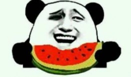 三个字网红吃瓜,揭秘网络红人的幕后故事