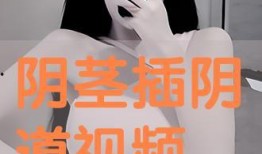 在线观看zxgk,zxgk在线观看之旅