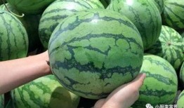 广德吃瓜最新事件爆料是真的吗,最新爆料真相揭秘