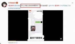 成毅爆料语音视频播放,揭秘幕后故事，语音视频播放背后的真实情感