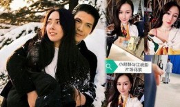 狗仔爆料刘雯视频大全最新,狗仔爆料背后的时尚女王风采