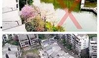 广西柳州最新爆料,揭秘柳州城市新动向与热点事件