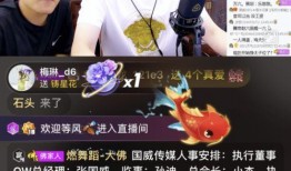 光棍永哥爆料视频大全,揭秘娱乐圈不为人知的幕后故事