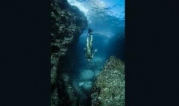 潜入深海 在线观看,揭秘神秘海洋世界