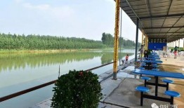 广州农庄爆料视频播放,揭秘真实农庄生活与生态农业魅力