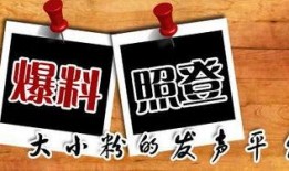 重庆八卦新闻爆料,揭秘最新八卦新闻背后的真相