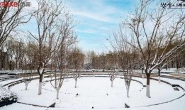 雪山万科城爆料事件视频,揭露背后惊人真相