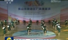 新闻爆料佛山,聚焦城市发展新篇章