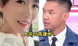 台湾艺人大牙爆料视频大全,揭秘娱乐圈幕后真相