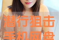 潜行狙击手机在线观看,手机在线观看，揭秘卧底风云