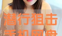 潜行狙击手机在线观看,手机在线观看，揭秘卧底风云