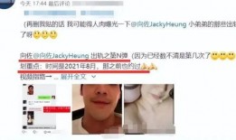 向佐的视频被谁爆料的,幕后爆料者身份引热议