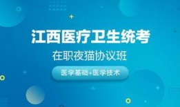 真理医生v4技能爆料视频,全新爆料视频深度解析