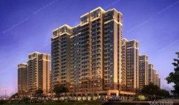 农阳时光澜最新爆料,揭秘神秘项目背后的惊人真相