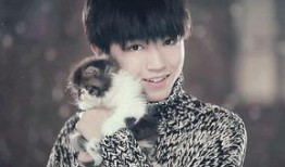 黄子韬爸妈爆料视频全集,揭秘星二代成长幕后