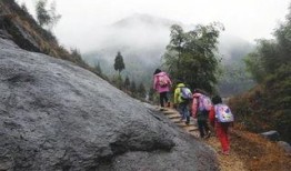 大山最新爆料,揭秘娱乐圈不为人知的幕后真相