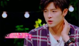 圈内爆料付辛博,揭秘明星背后的真实生活