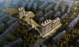 农阳时光澜最新爆料,揭秘神秘项目背后的惊人真相