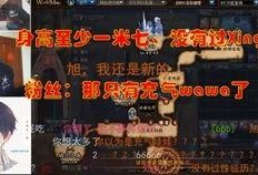 北京宝哥最新爆料,最新爆料背后的惊人真相