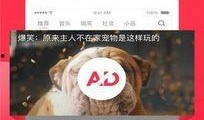 娱乐吃瓜酱雪糕视频下载,清凉一夏