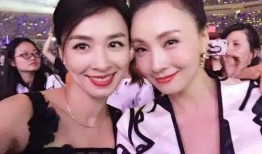 小陶虹二胎爆料视频播放,温馨家庭再添新成员