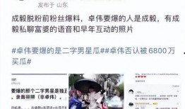 成毅爆料语音视频播放,揭秘幕后故事，语音视频播放背后的真实情感