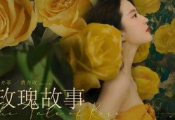 玫瑰故事爆料大全视频,揭秘视频中的浪漫传奇