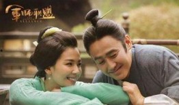 军师联盟42在线观看,谋略巅峰，智斗风云再起