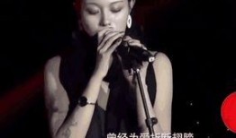 前妻爆料汪峰唱的歌曲视频,视频曝光惊人内幕