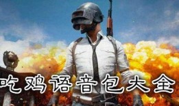 抖音吃鸡智勇爆料视频,吃鸡智勇爆料，带你领略游戏背后的精彩故事