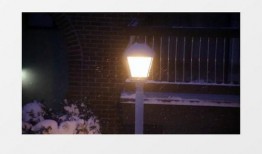 最新爆料暴雪视频下载,独家视频下载攻略揭秘