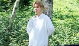 爆料娱乐圈朴智旻,揭秘明星背后的故事与争议