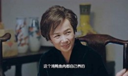 正阳门下44集在线观看,揭秘宫廷秘闻，情感纠葛再升级