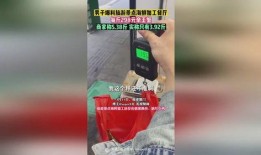 男子爆料旅游景点视频,揭秘真实背后的乱象