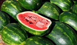 免费吃瓜图片,视觉盛宴来袭，一起探索美食与视觉的完美融合