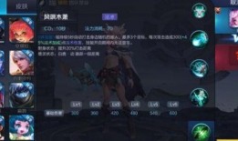 王者黑衣人爆料视频大全,揭秘游戏幕后真相