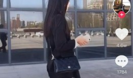 打井抖音爆料视频下载大全,打井爆料视频大全下载攻略