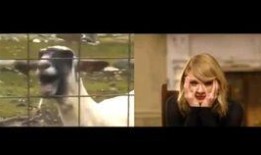 黄老板爆料唱歌视频大全,唱歌视频大全幕后花絮大公开