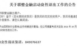 金融最新爆料消息公布信息,揭秘行业动态与市场趋势
