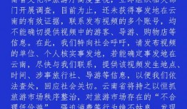 淮安导游爆料视频播放,视频播放背后的精彩故事