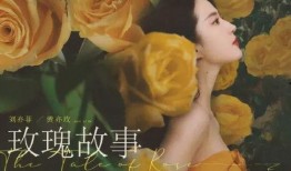玫瑰故事爆料大全视频,揭秘视频中的浪漫传奇